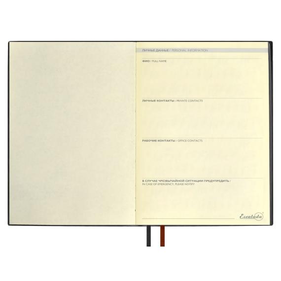 Ежедневник Avila, недатированный, черный