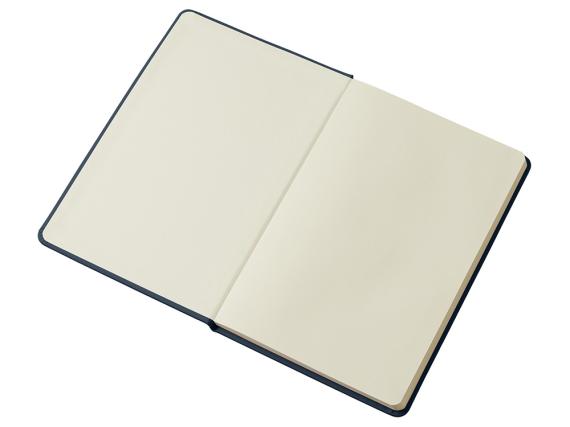 Блокнот в твердой обложке A5 «Виспи» в клетку